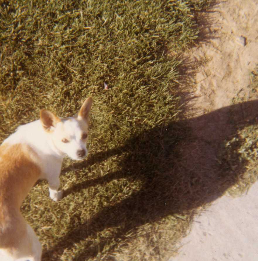 Image 30